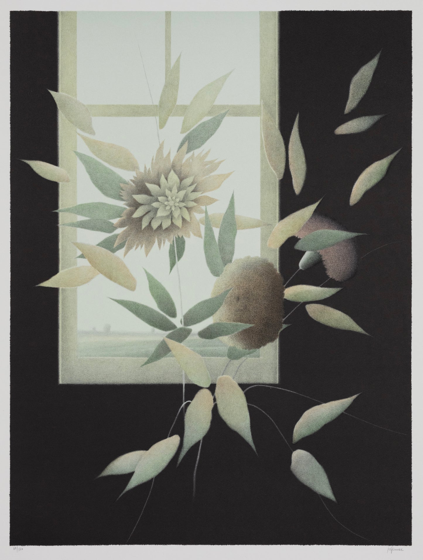 "Studio Flowers"