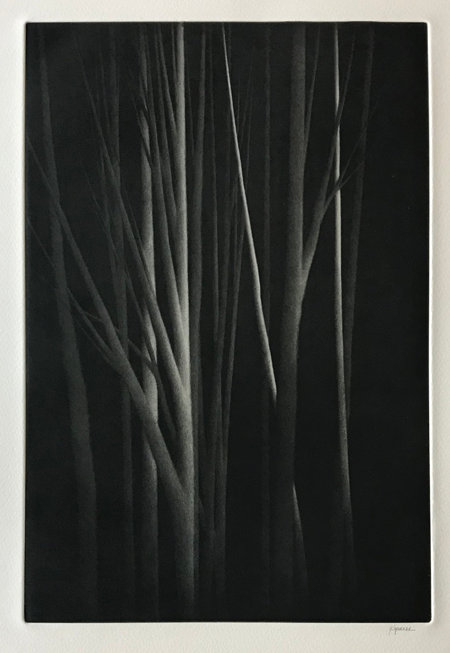 "Forest nocturne III"