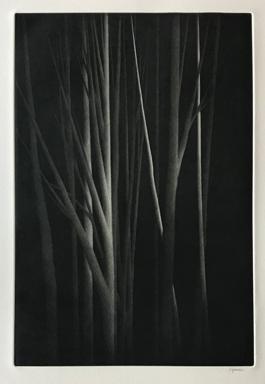 "Forest nocturne III"