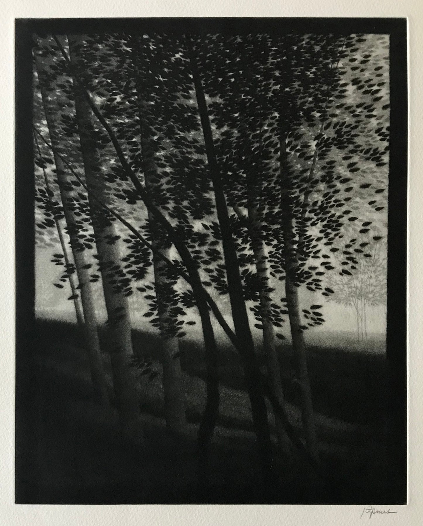 "Hillside shadows"