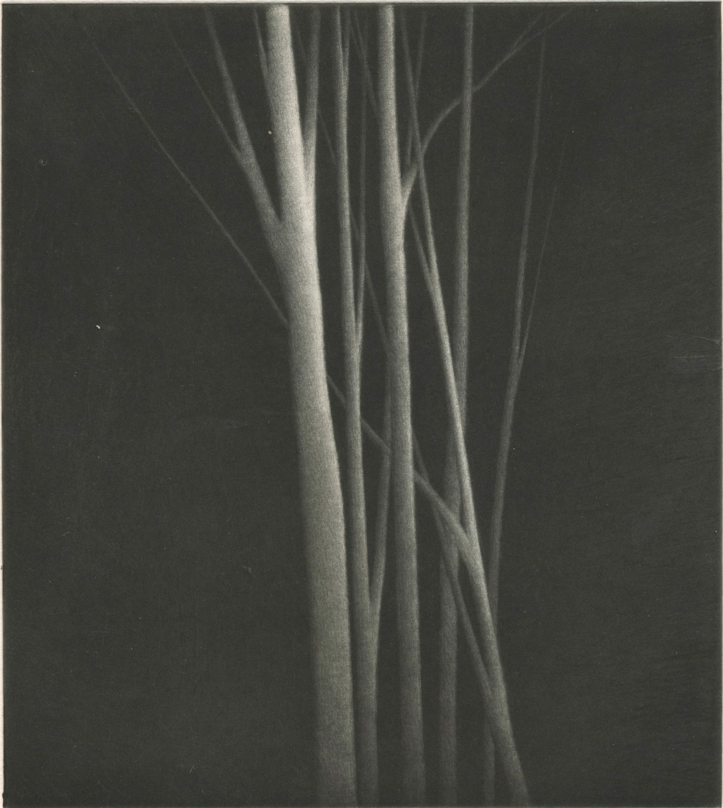 "Incandescence"