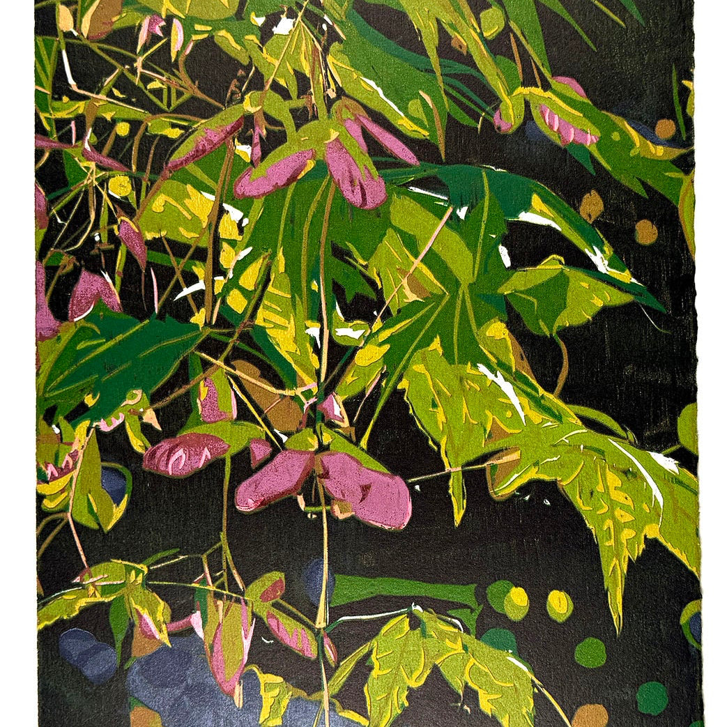 "Japanese Maple"