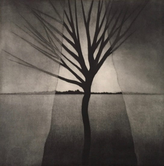 “Landscape w/curtains & crooked tree”