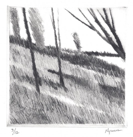 “Long island meadow”