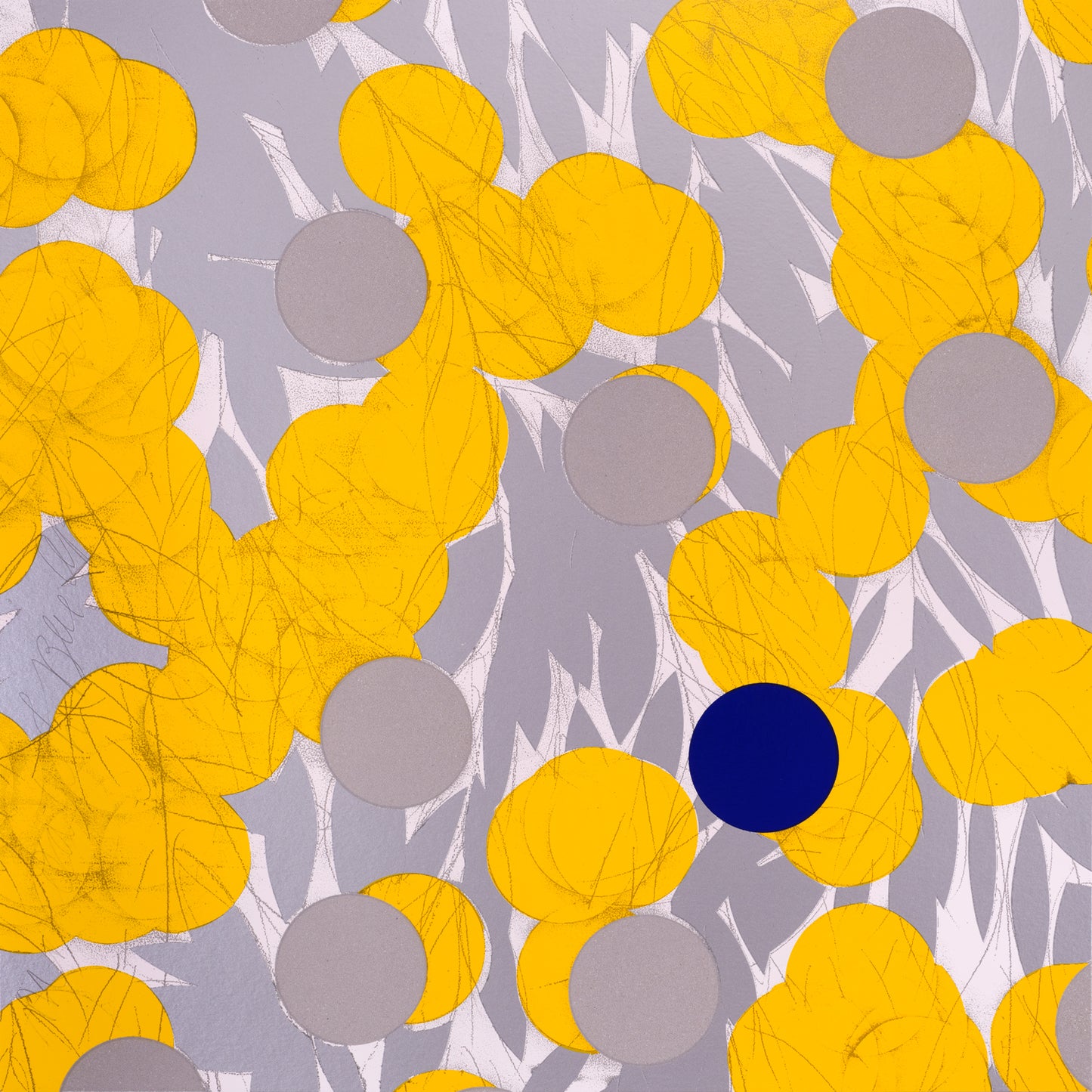 "Mimosa with Blue April 24, 2024"