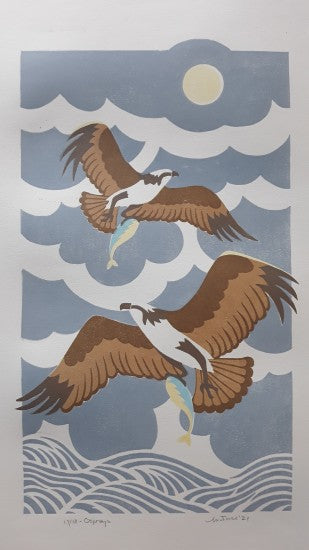 “Ospreys-White”