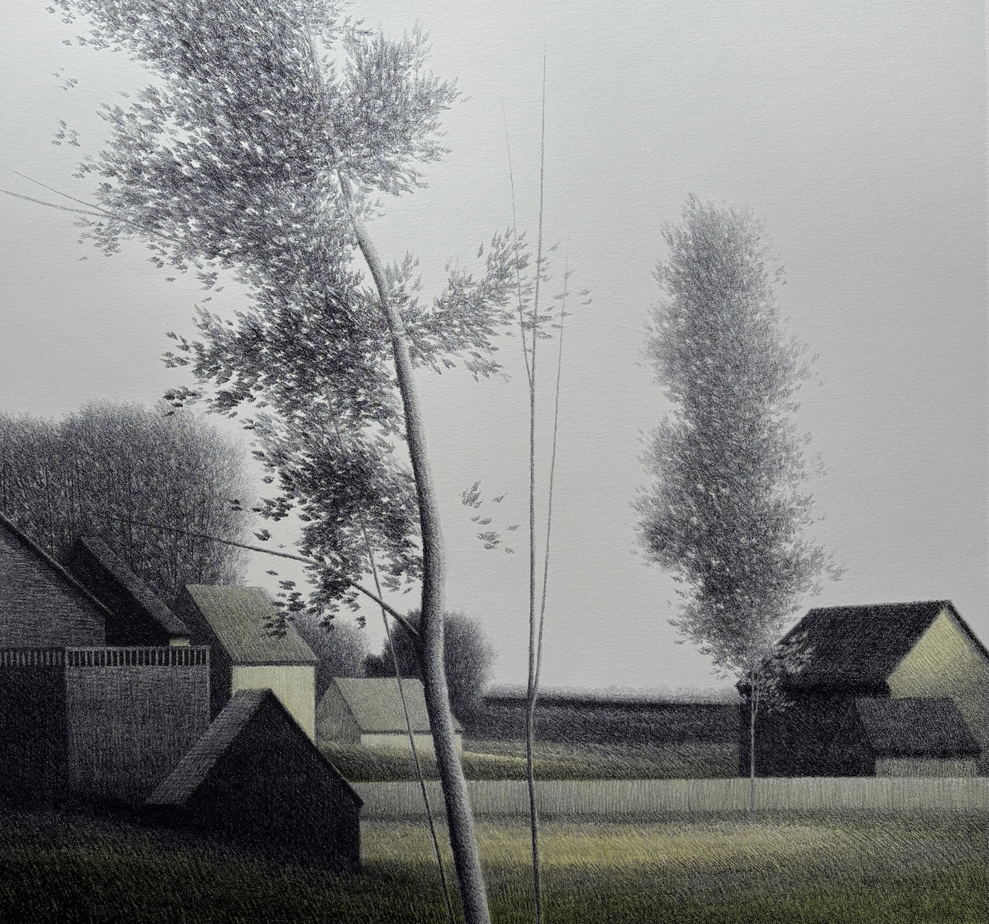 "Silver morning"
