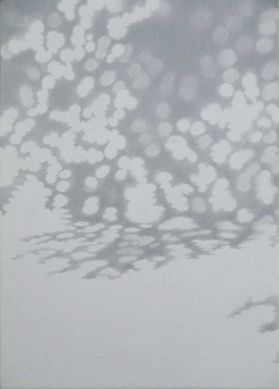 “Simple Gifts, pin oak”