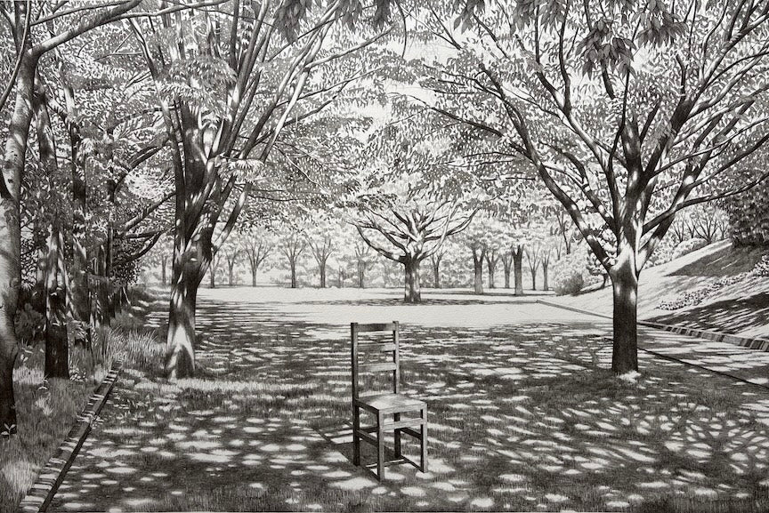 "The Sunlight Filtering through Foliage"