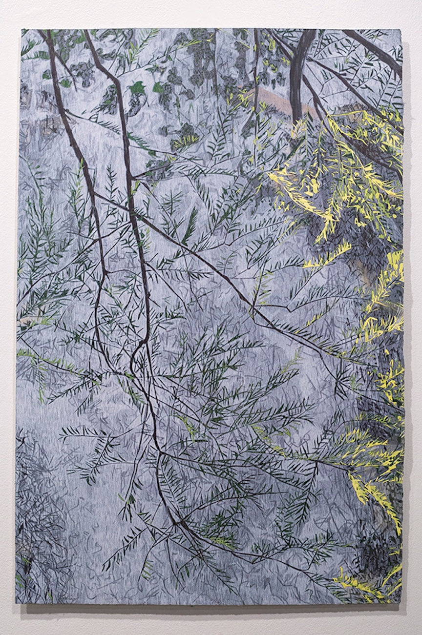 “Thunder Spring”