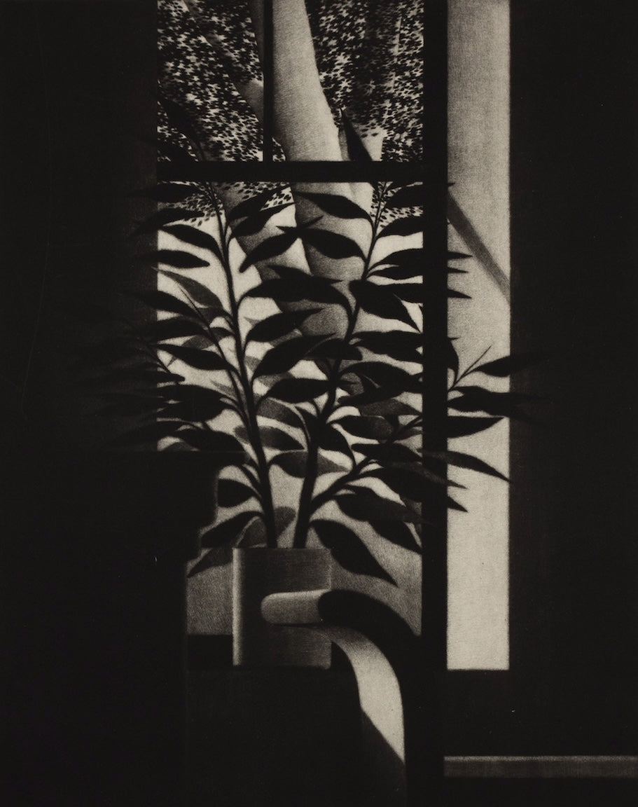 “Window w/bench and trees”