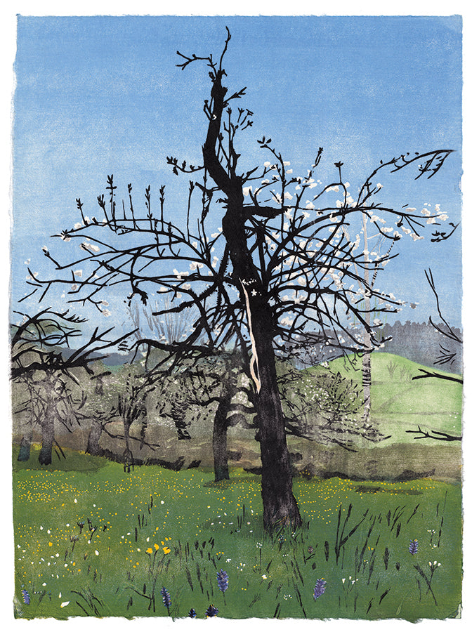 "Old Apple Tree (Portrait Of My Father)"