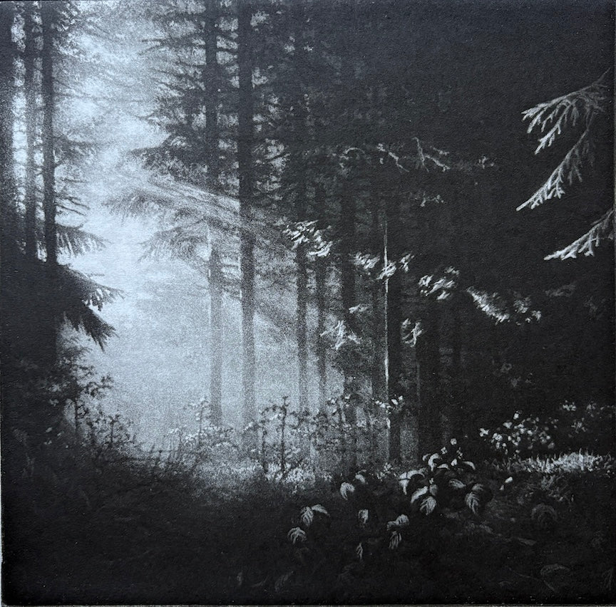 "Aesop's Wood (B + W)"