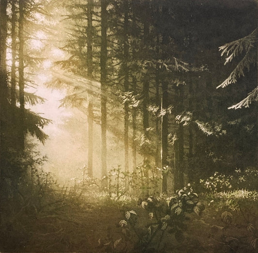 "Aesop's Wood"
