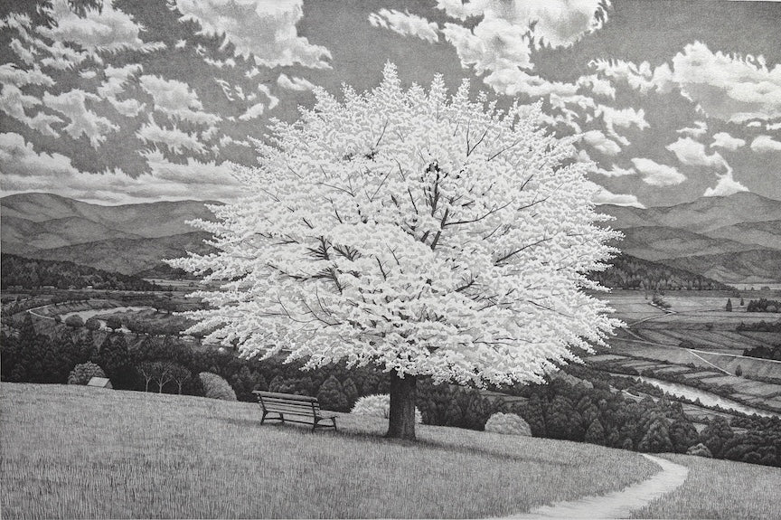 "Cherry Blossom"
