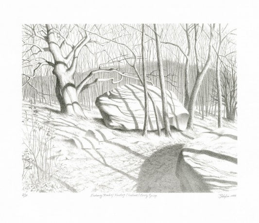 “Enduring Rocks/Floating Shadows/Early Spring”