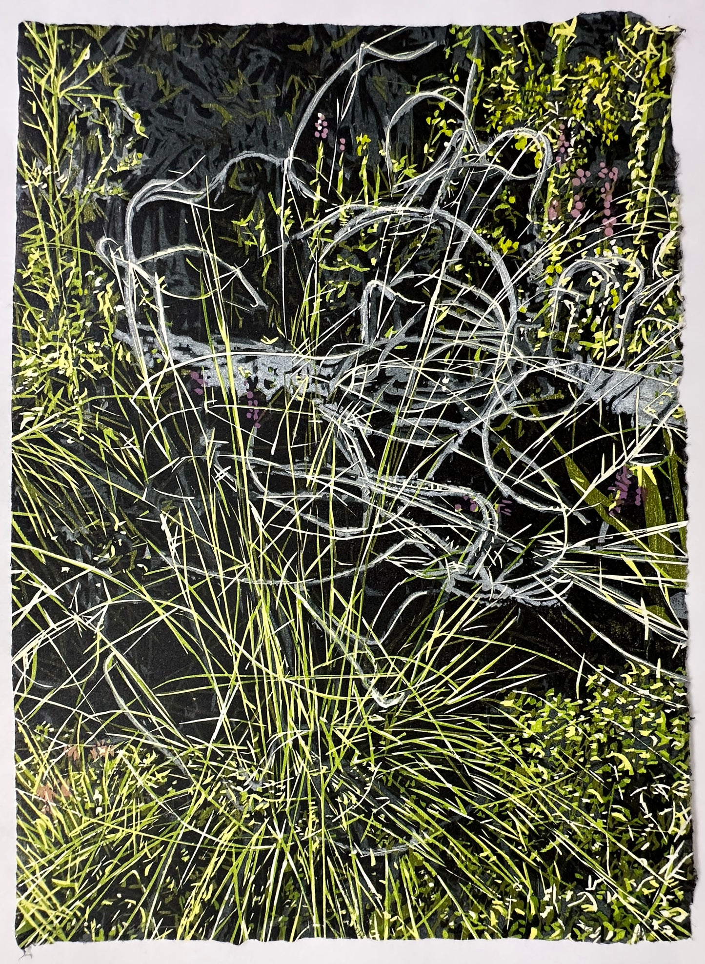 "Feather Grass"