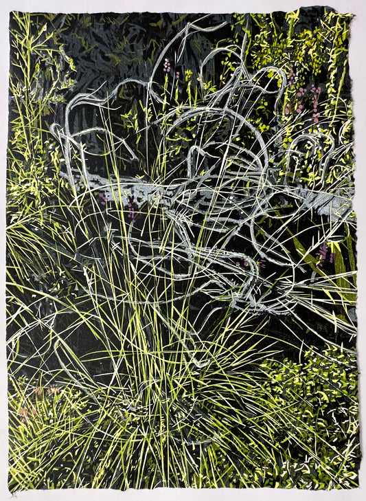 "Feather Grass"