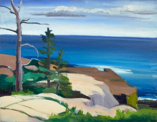 “Late Summer Schoodic Point”