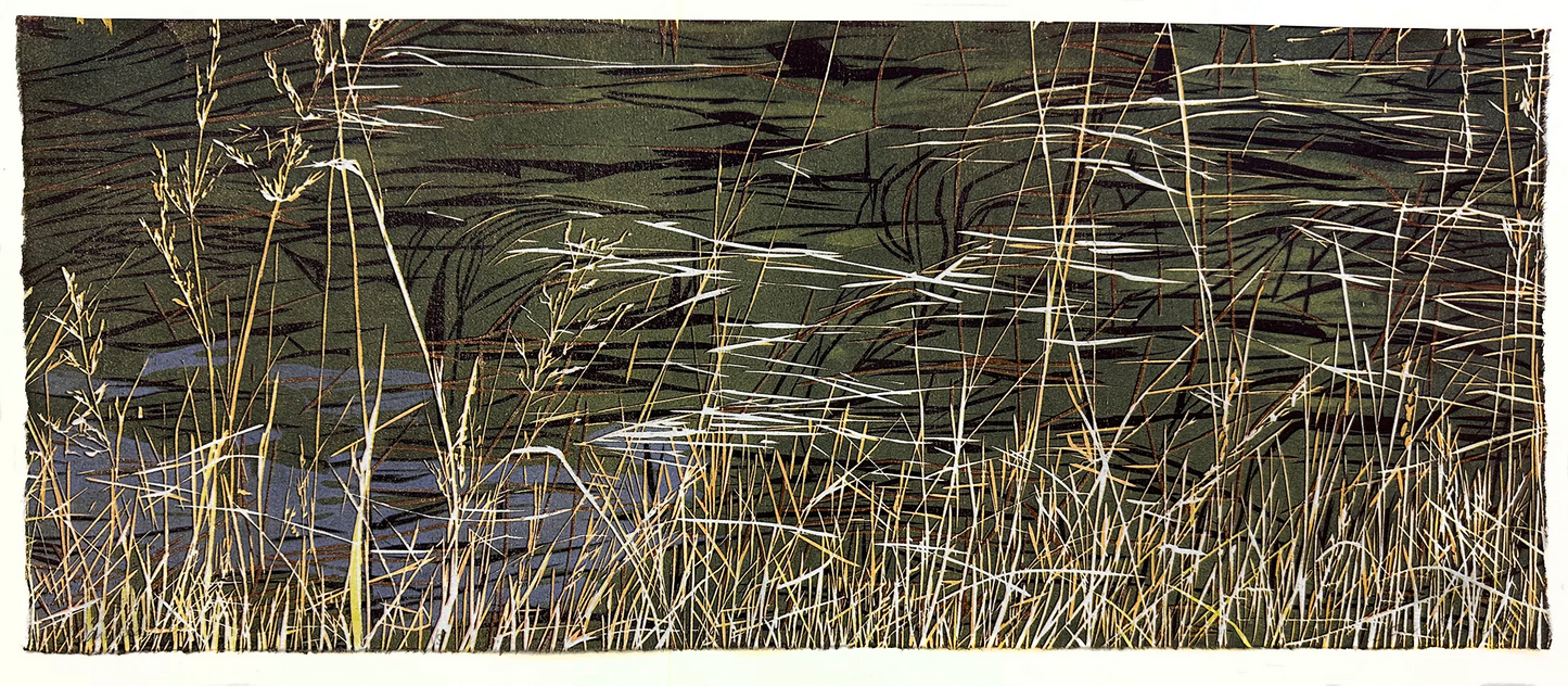 "Marshland"