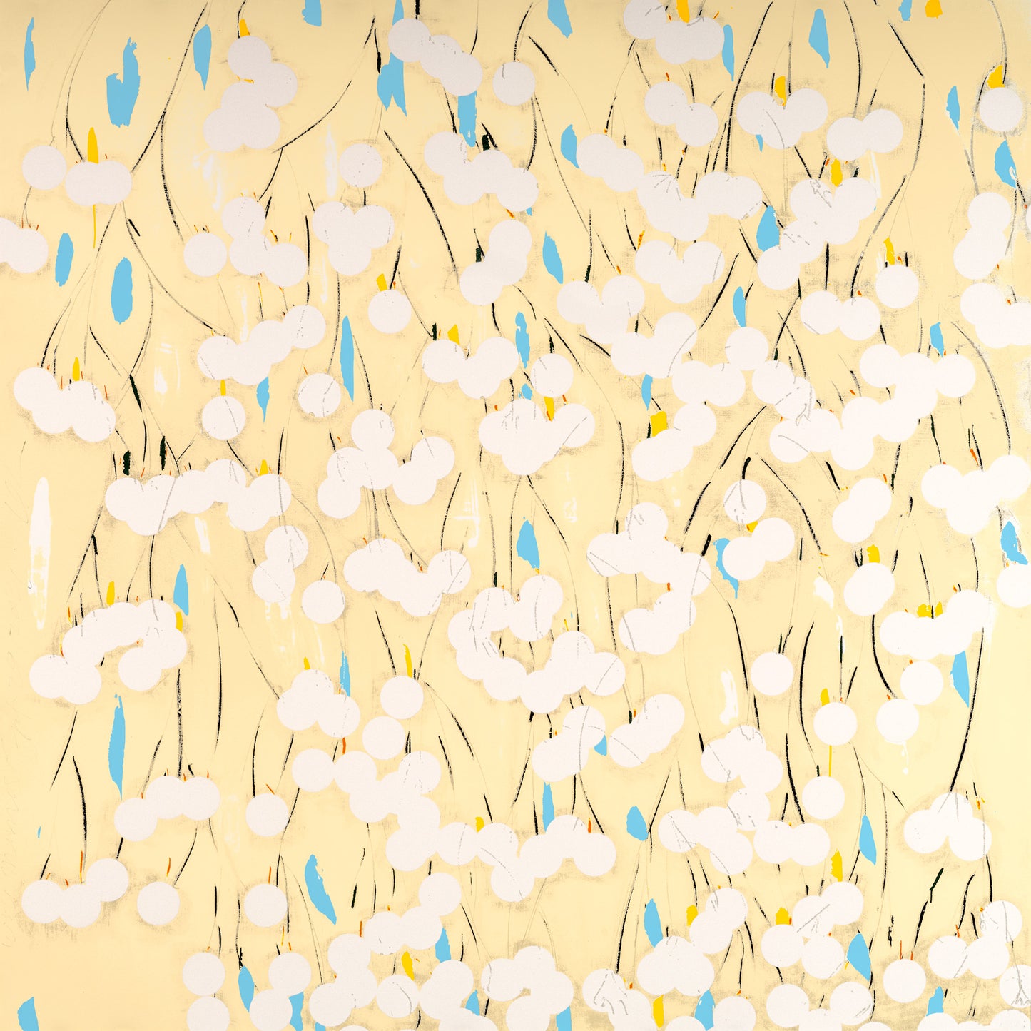 "Mimosa, Sept 29, 2021"