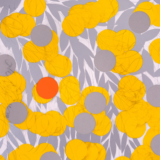 "Mimosa with Orange April 24, 2024"