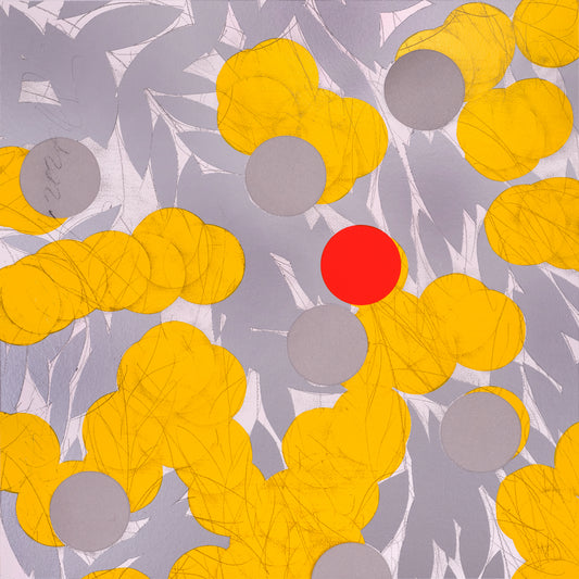 Mimosa with Red April 24, 2024"