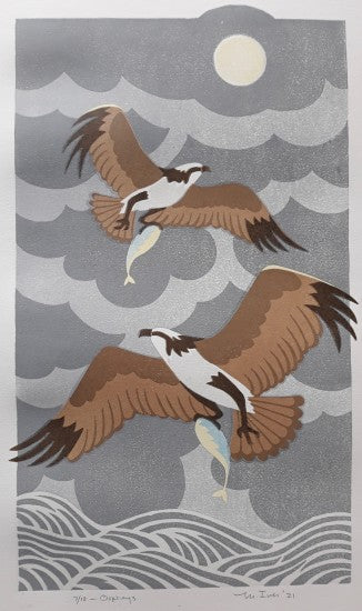 “Ospreys-Gray”