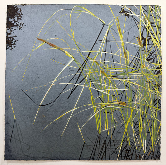 "Pond Sedge"