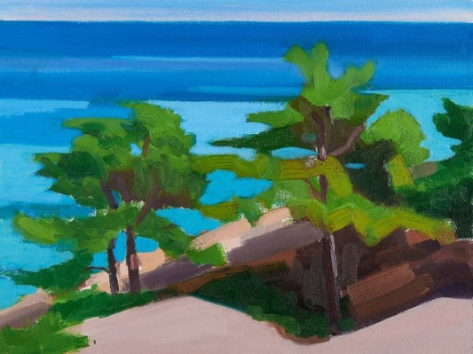 “Sand Beach Lookout”