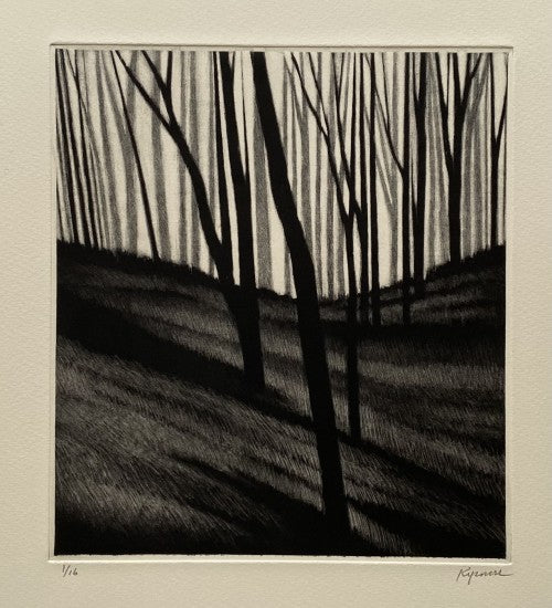 “Slope w/gray & black trees”