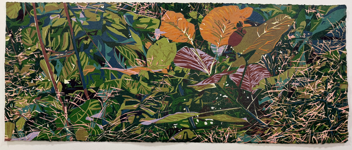 "Smoke tree"