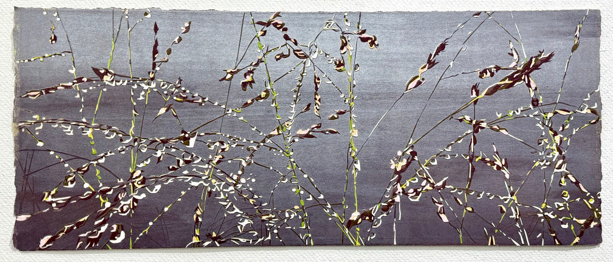 "Switchgrass"