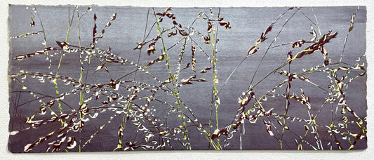 "Switchgrass"