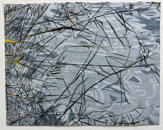 "Water Trails"
