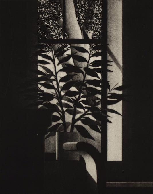 “Window w/bench and trees”