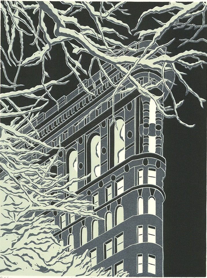 “Winter Flatiron”