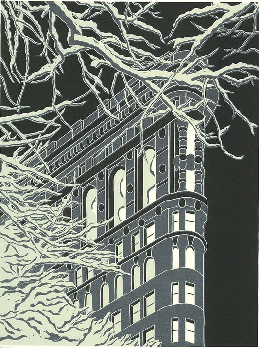 “Winter Flatiron”