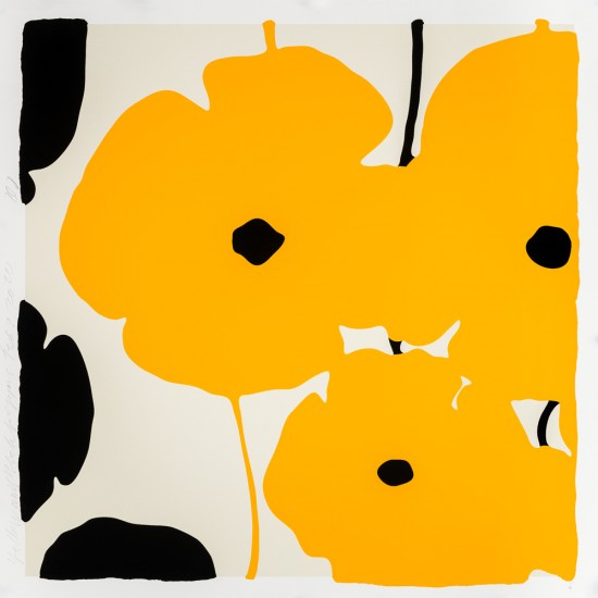 “Yellow and Black Poppies, Feb 3, 2020”