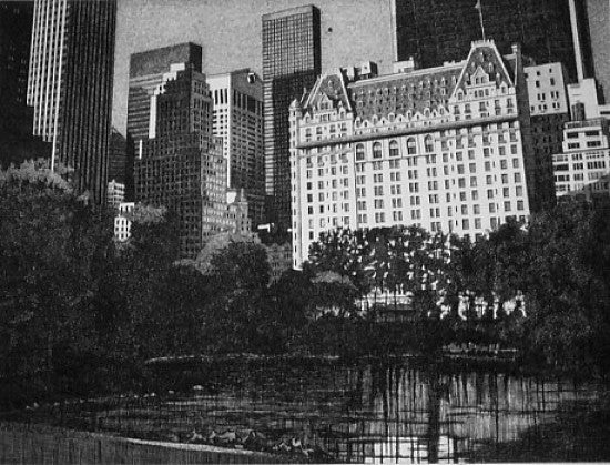 “A Walk Through South Central Park”