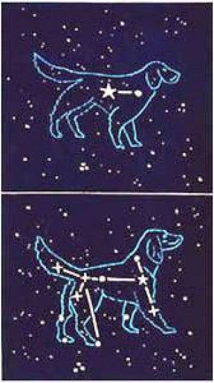 “Canis Major/Minor”