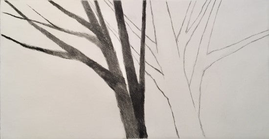 “Shadow trees”