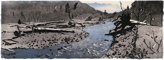 "Hoh River (Olympic Peninsula)"
