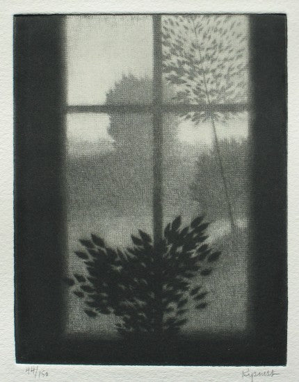 “Window w/dark leaves”