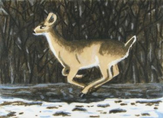 “Winter Deer”