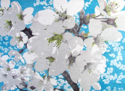 “Yoshino cherry blossoms”